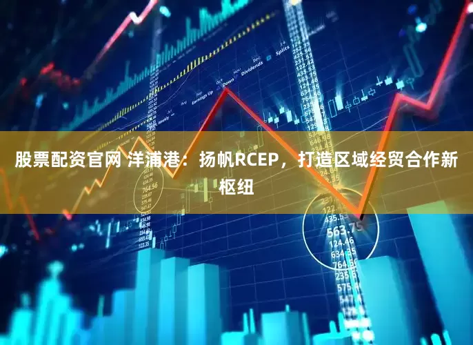 股票配资官网 洋浦港：扬帆RCEP，打造区域经贸合作新枢纽