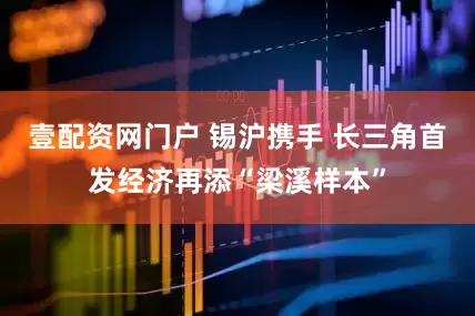 壹配资网门户 锡沪携手 长三角首发经济再添“梁溪样本”