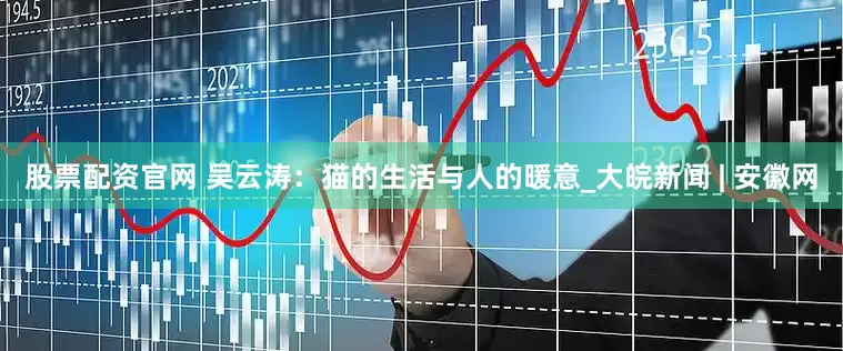 股票配资官网 吴云涛：猫的生活与人的暖意_大皖新闻 | 安徽网