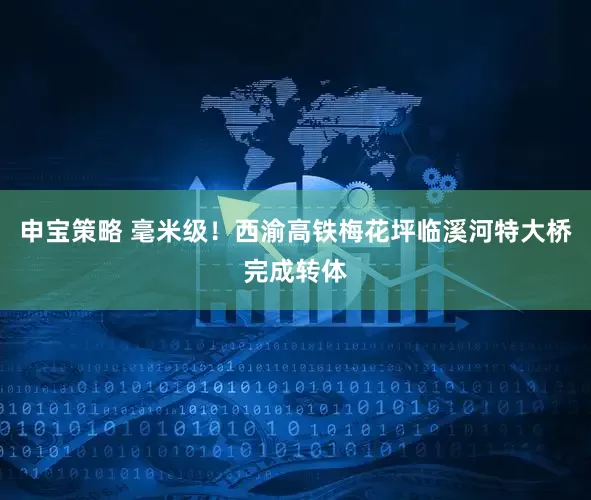 申宝策略 毫米级！西渝高铁梅花坪临溪河特大桥完成转体