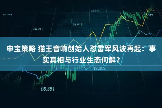 申宝策略 猫王音响创始人怼雷军风波再起：事实真相与行业生态何解？