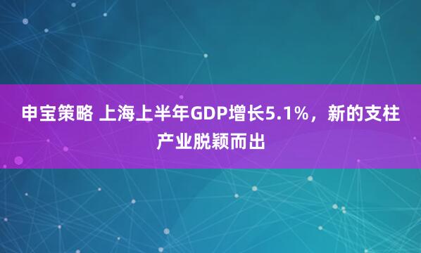 申宝策略 上海上半年GDP增长5.1%，新的支柱产业脱颖而出