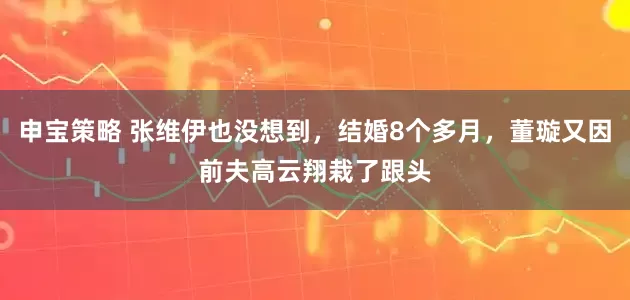 申宝策略 张维伊也没想到,结婚8个多月,董璇又因前夫高云翔栽了跟头