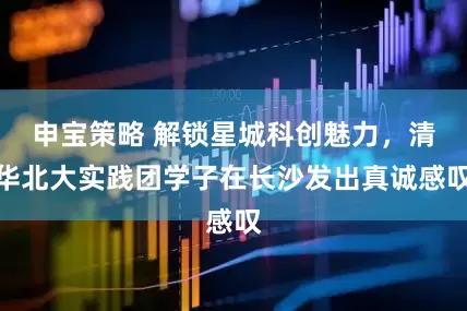 申宝策略 解锁星城科创魅力,清华北大实践团学子在长沙发出真诚感叹